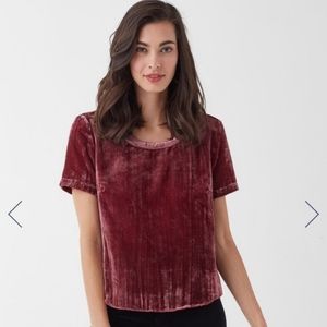Splendid | NWT Ruby Crushed Velvet Short Sleeve